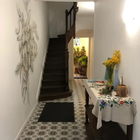 Apartment Camelia Quartier Thermal Grand Studio Au Calme *